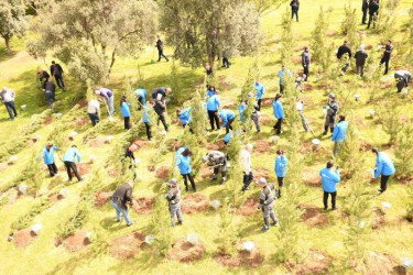 Ümummilli lideri Heydər Əliyevin anadan olmasının 102-ci ildönümü ilə əlaqədar ağacəkmə aksiyası təşkil edilib