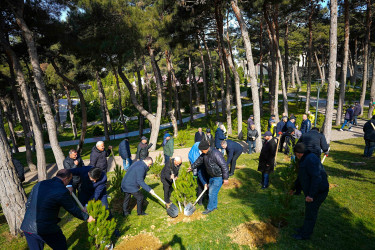 Xətai rayonunda 14 mart 2026-cı il tarixində  “Şəhərsalma və Memarlıq ili” çərçivəsində ağacəkmə aksiyası keçirilib.