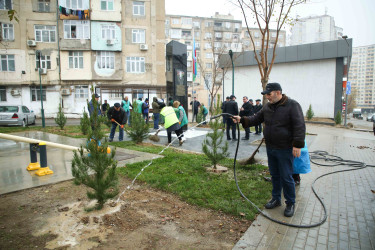 Xətai rayonunda Cavanşir və Ceyhun Həsənov küçələrində ağacəkmə aksiyası keçirilib