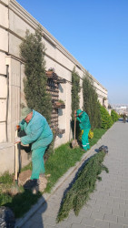 Xətai rayonunda təmizlik və abadlıq işləri çərçivəsində iməcilik və ağacəkmə aksiyası keçirilib