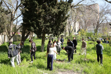 18 aprel 2026-cı il tarixində Xətai rayonunda “Şəhərsalma və Memarlıq ili” çərçivəsində ağacəkmə aksiyası keçirilib