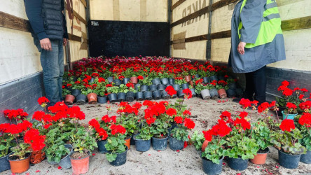 18 aprel 2026-cı il tarixində Xətai rayonunda “Şəhərsalma və Memarlıq ili” çərçivəsində ağacəkmə aksiyası keçirilib