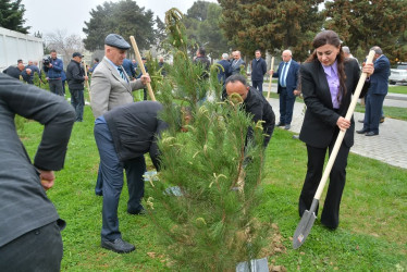 “Konstitusiya və Suverenlik ili” çərçivəsində Gənclik parkında ağacəkmə aksiyası təşkil olunub.