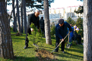 Xətai rayonunda 14 mart 2026-cı il tarixində  “Şəhərsalma və Memarlıq ili” çərçivəsində ağacəkmə aksiyası keçirilib.