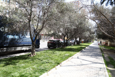 18 aprel 2026-cı il tarixində Xətai rayonunda “Şəhərsalma və Memarlıq ili” çərçivəsində ağacəkmə aksiyası keçirilib