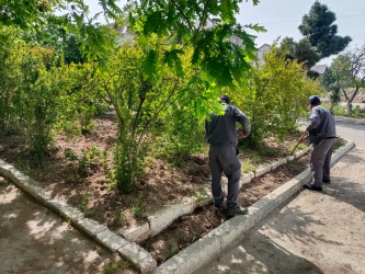 “Konstitusiya və Suverenlik ili” çərçivəsində növbəti ümumrayon iməcliyi təşkil olundu