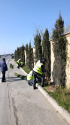 Xətai rayonunda təmizlik və abadlıq işləri çərçivəsində iməcilik və ağacəkmə aksiyası keçirilib