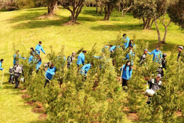 Ümummilli lideri Heydər Əliyevin anadan olmasının 102-ci ildönümü ilə əlaqədar ağacəkmə aksiyası təşkil edilib