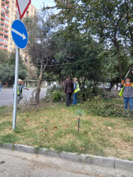 Xətai rayonunda yeni yaşıllıq zolaqları salınmışdır