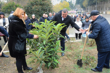 Humanitar Fənlər Təmayüllü liseydə və  M.Rüstəmov küçəsində Ümummili lider Heydər Əliyevin 100 illik yubileyinə həsr olunmuş növbəti ağacəkmə aksiyası keçirilib