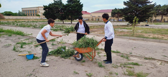 Xətai rayonunda təmizlik və abadlıqla bağlı növbəti iməclik keçirilib