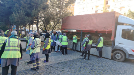 Xətai rayonunda yeni yaşıllıq zolaqları salınmışdır