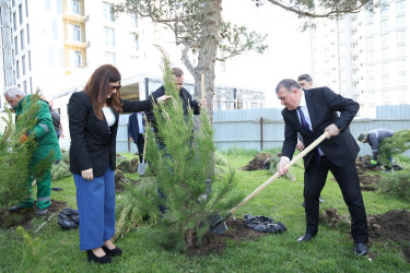 18 aprel 2026-cı il tarixində Xətai rayonunda “Şəhərsalma və Memarlıq ili” çərçivəsində ağacəkmə aksiyası keçirilib