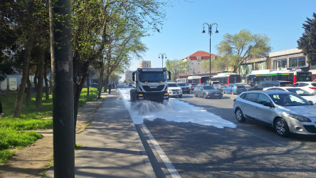 Xətai rayonunda təmizlik və abadlıq işləri çərçivəsində iməcilik və ağacəkmə aksiyası keçirilib