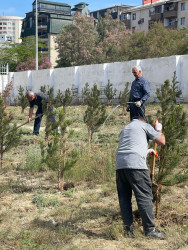 Xətai rayonunda təmizlik və abadlıqla bağlı növbəti iməclik keçirilib