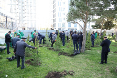 18 aprel 2026-cı il tarixində Xətai rayonunda “Şəhərsalma və Memarlıq ili” çərçivəsində ağacəkmə aksiyası keçirilib