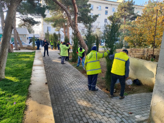 Xətai rayonunda Polad Həşimov küçəsində “Yaşıl dünya naminə həmrəylik ili” çərçivəsində  ağacəkmə aksiyası keçirildi