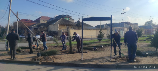 Xətai rayonunda Polad Həşimov küçəsində “Yaşıl dünya naminə həmrəylik ili” çərçivəsində  ağacəkmə aksiyası keçirildi