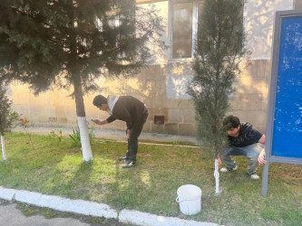 Xətai rayonunda təmizlik və abadlıq işləri çərçivəsində iməcilik və ağacəkmə aksiyası keçirilib