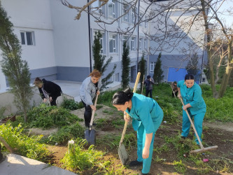 Xətai rayonunda təmizlik və abadlıq işləri çərçivəsində iməcilik və ağacəkmə aksiyası keçirilib