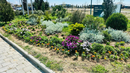 18 aprel 2026-cı il tarixində Xətai rayonunda “Şəhərsalma və Memarlıq ili” çərçivəsində ağacəkmə aksiyası keçirilib