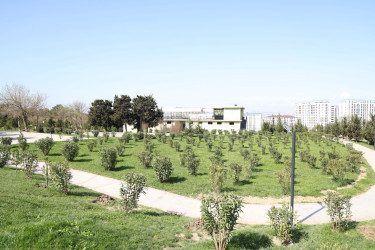 18 aprel 2026-cı il tarixində Xətai rayonunda “Şəhərsalma və Memarlıq ili” çərçivəsində ağacəkmə aksiyası keçirilib