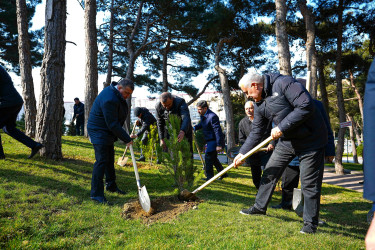 Xətai rayonunda 14 mart 2026-cı il tarixində  “Şəhərsalma və Memarlıq ili” çərçivəsində ağacəkmə aksiyası keçirilib.