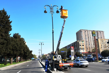 Xətai rayonunda təmizlik və abadlıq işləri çərçivəsində iməcilik və ağacəkmə aksiyası keçirilib