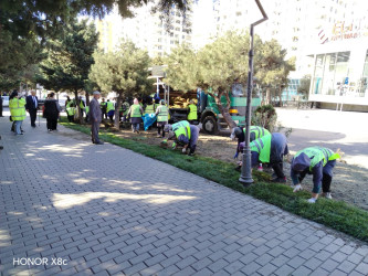 Xətai rayonunda yeni yaşıllıq zolaqları salınmışdır