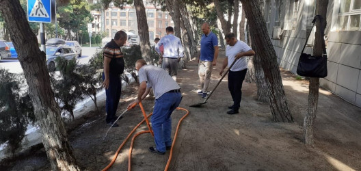 Xətai rayonunda növbəti iməcik keçirilir