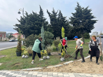 Xətai rayonunda “Yaşıl dünya naminə həmrəylik ili” çərçivəsində ağacəkmə aksiyasına start verilib