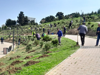 “Konstitusiya və Suverenlik ili” çərçivəsində ümumrayon iməcliyi aksiyası təşkil olundu