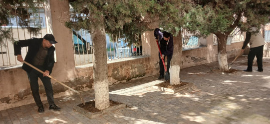 Xətai rayonunda təmizlik və abadlıq işləri çərçivəsində iməcilik və ağacəkmə aksiyası keçirilib