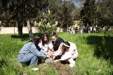 18 aprel 2026-cı il tarixində Xətai rayonunda “Şəhərsalma və Memarlıq ili” çərçivəsində ağacəkmə aksiyası keçirilib