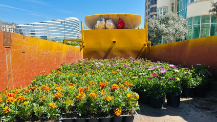 18 aprel 2026-cı il tarixində Xətai rayonunda “Şəhərsalma və Memarlıq ili” çərçivəsində ağacəkmə aksiyası keçirilib