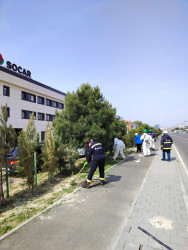 “Konstitusiya və Suverenlik ili” çərçivəsində ümumrayon iməcliyi aksiyası təşkil olundu