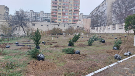 Humanitar Fənlər Təmayüllü liseydə və  M.Rüstəmov küçəsində Ümummili lider Heydər Əliyevin 100 illik yubileyinə həsr olunmuş növbəti ağacəkmə aksiyası keçirilib