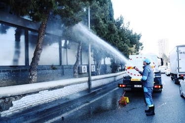 Xətai rayonunda təmizlik və abadlıq işləri çərçivəsində iməcilik və ağacəkmə aksiyası keçirilib