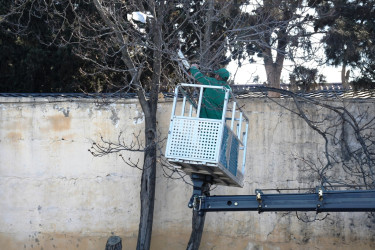 Xətai rayonunda təmizlik və abadlıq işləri çərçivəsində iməcilik və ağacəkmə aksiyası keçirilib