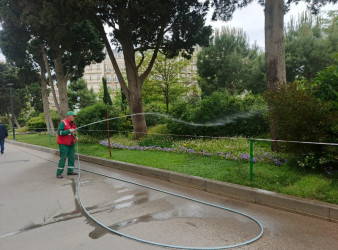“Konstitusiya və Suverenlik ili” çərçivəsində növbəti ümumrayon iməcliyi təşkil olundu