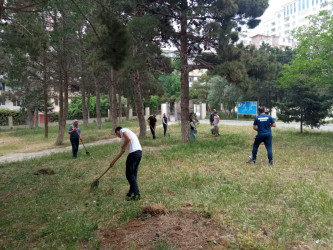 “Konstitusiya və Suverenlik ili” çərçivəsində növbəti ümumrayon iməcliyi təşkil olundu