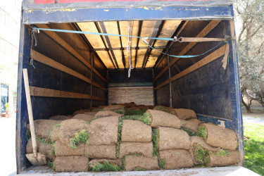 18 aprel 2026-cı il tarixində Xətai rayonunda “Şəhərsalma və Memarlıq ili” çərçivəsində ağacəkmə aksiyası keçirilib