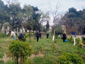 Xətai rayonunda “Konstitusiya və Suverenlik ili” çərçivəsində ümumrayon iməcliyi və ağacəkmə aksiyası təşkil olunub.