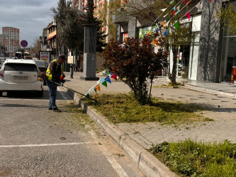 Xətai rayonunda təmizlik və abadlıq işləri çərçivəsində iməcilik və ağacəkmə aksiyası keçirilib