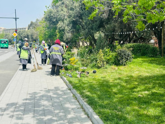 “Konstitusiya və Suverenlik ili” çərçivəsində ümumrayon iməcliyi aksiyası təşkil olundu