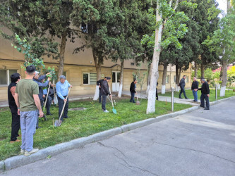“Konstitusiya və Suverenlik ili” çərçivəsində ümumrayon iməcliyi  təşkil olundu