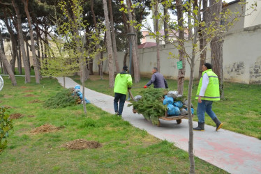 Xətai rayonunda “Konstitusiya və Suverenlik ili” çərçivəsində ümumrayon iməcliyi və ağacəkmə aksiyası təşkil olunub.
