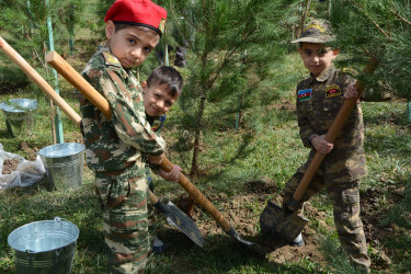 Xətai rayonunda Anım Günü ilə əlaqədar ağacəkmə aksiyası keçirilib