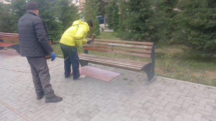 14 mart tarixində Xətai rayonunda təmizlik və abadlıqla bağlı iməclik keçirilib