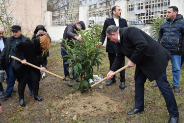 Humanitar Fənlər Təmayüllü liseydə və  M.Rüstəmov küçəsində Ümummili lider Heydər Əliyevin 100 illik yubileyinə həsr olunmuş növbəti ağacəkmə aksiyası keçirilib